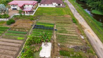 Nachtegaalstraat 1015-Morgenstond-Paramaribo-Surgoed Makelaardij NV-Perceel P0748B3 (8)