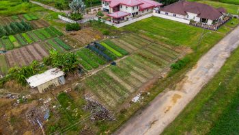 Nachtegaalstraat 1015-Morgenstond-Paramaribo-Surgoed Makelaardij NV-Perceel P0748B3 (9)
