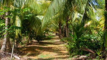 Bombayweg 124- Calcutta- Saramacca- Suriname- Surgoed Makelaardij N.V- KP01175 (19)