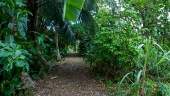Bombayweg 124- Calcutta- Saramacca- Suriname- Surgoed Makelaardij N.V- KP01175 (20)