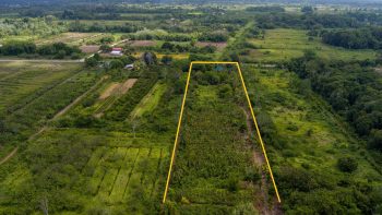 Bombayweg 124- Calcutta- Saramacca- Suriname- Surgoed Makelaardij N.V- KP01175 (5)