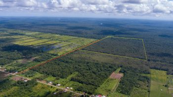 Canawapibo 228b - Oost west verbining - Commewijne - Surgoed Makelaardij nv -Koopperceel KP01069 (1)