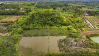 Damboentong 230 - Saramacca - Surgoed Makelaardij NV - Perceel P0613B6 (19)
