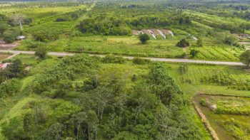 Damboentong 230 - Saramacca - Surgoed Makelaardij NV - Perceel P0613B6 (21)