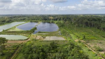 Damboentong 230 - Saramacca - Surgoed Makelaardij NV - Perceel P0613B6 (3)