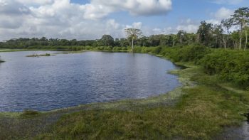 Damboentong 230 - Saramacca - Surgoed Makelaardij NV - Perceel P0613B6 (7)