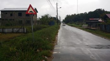 Rijsdijkweg 2- Para-Noord- Para- Suriname- Surgoed Makelaardij N.V.- HW01185(5)