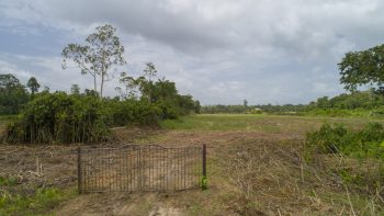 Sir Winston Churchillweg 203 - Accaribo - Para - Surgoed Makelaardij NV - Perceel P0576B6 (11)