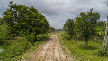 Sir Winston Churchillweg 203 - Accaribo - Para - Surgoed Makelaardij NV - Perceel P0576B6 (9)