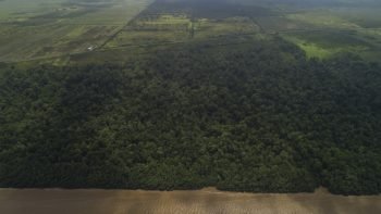Weg naar Coppename 30 - Calcutta - Saramacca- Surgoed Makelaardij NV - Perceel P0610B6 (10)