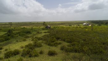 Weg naar Coppename 30 - Calcutta - Saramacca- Surgoed Makelaardij NV - Perceel P0610B6 (12)