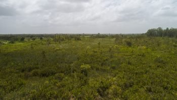 Weg naar Coppename 30 - Calcutta - Saramacca- Surgoed Makelaardij NV - Perceel P0610B6 (13)