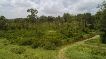 Weg naar Coppename 30 - Calcutta - Saramacca- Surgoed Makelaardij NV - Perceel P0610B6 (16)