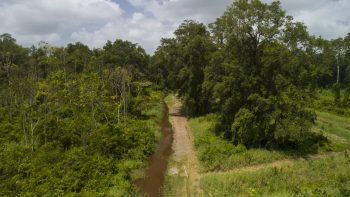 Weg naar Coppename 30 - Calcutta - Saramacca- Surgoed Makelaardij NV - Perceel P0610B6 (17)