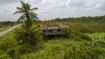 Weg naar Coppename 30 - Calcutta - Saramacca- Surgoed Makelaardij NV - Perceel P0610B6 (18)