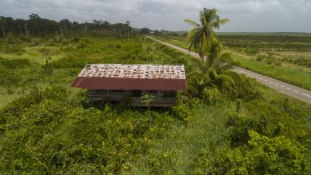 Weg naar Coppename 30 - Calcutta - Saramacca- Surgoed Makelaardij NV - Perceel P0610B6 (21)