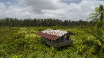 Weg naar Coppename 30 - Calcutta - Saramacca- Surgoed Makelaardij NV - Perceel P0610B6 (22)