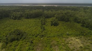 Weg naar Coppename 30 - Calcutta - Saramacca- Surgoed Makelaardij NV - Perceel P0610B6 (23)