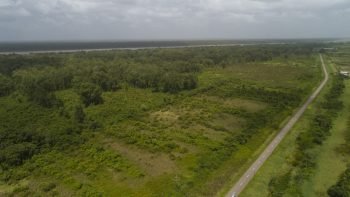 Weg naar Coppename 30 - Calcutta - Saramacca- Surgoed Makelaardij NV - Perceel P0610B6 (24)