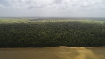Weg naar Coppename 30 - Calcutta - Saramacca- Surgoed Makelaardij NV - Perceel P0610B6 (6)