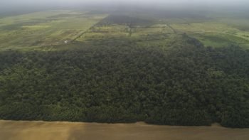 Weg naar Coppename 30 - Calcutta - Saramacca- Surgoed Makelaardij NV - Perceel P0610B6 (7)