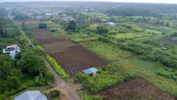 ATROPOWEG 1042- Tuindorp Eureka- Wanica- Suriname- Surgoed Makelaardij N.V- KP01220 (10)