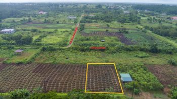 ATROPOWEG 1042- Tuindorp Eureka- Wanica- Suriname- Surgoed Makelaardij N.V- KP01220 (4)