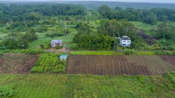ATROPOWEG 1042- Tuindorp Eureka- Wanica- Suriname- Surgoed Makelaardij N.V- KP01220 (7)