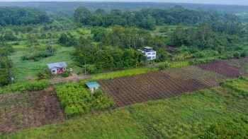 ATROPOWEG 1042- Tuindorp Eureka- Wanica- Suriname- Surgoed Makelaardij N.V- KP01220 (8)