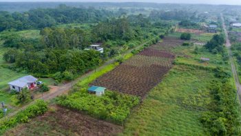 ATROPOWEG 1042- Tuindorp Eureka- Wanica- Suriname- Surgoed Makelaardij N.V- KP01220 (9)