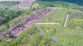 Gotong Rojongweg 25- Lelydorp- Wanica- Suriname- Surgoed Makelaardij N.V- KP00697 (10)