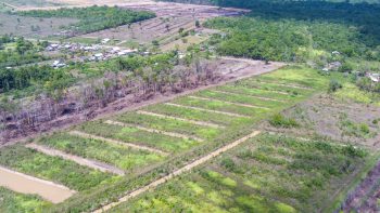 Gotong Rojongweg 25- Lelydorp- Wanica- Suriname- Surgoed Makelaardij N.V- KP00697 (12)