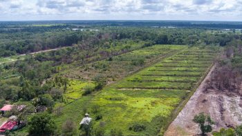 Gotong Rojongweg 25- Lelydorp- Wanica- Suriname- Surgoed Makelaardij N.V- KP00697 (3)