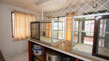 Kasabaholoweg 156- Tammenga- Paramaribo- Suriname- Surgoed Makelaardij- KW01201 (24)