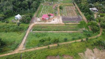 Mariendaal- Oost west verbinding- Commewijne- Suriname- FSBO (3)