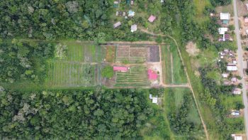 Mariendaal- Oost west verbinding- Commewijne- Suriname- FSBO (4)