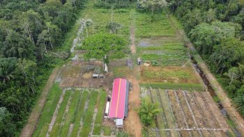 Mariendaal- Oost west verbinding- Commewijne- Suriname- FSBO (5)