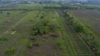 Mopentiboweg 65- Boma- Wanica- Suriname- Surgoed Makelaardij N.V- KP01198 (13)