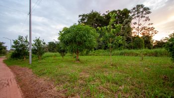 Saltatiestraat- Blauwmeer- Para- Suriname- Surgoed Makelaardij N.V- KW01223 (15)