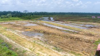 Altona'Vrolijk Thuis'- Houttuin- Wanica- Suriname- Surgoed Makelaardij N.V (14)