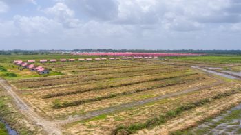 Altona'Vrolijk Thuis'- Houttuin- Wanica- Suriname- Surgoed Makelaardij N.V (17)