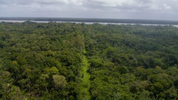 Boxel C1396- 3834- Wanica- Suriname- Surgoed Makelaardij N.V- KP01313 (2)