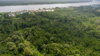 Boxel C1396- 3834- Wanica- Suriname- Surgoed Makelaardij N.V- KP01313 (3)