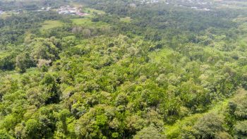 Boxel C1396- 3834- Wanica- Suriname- Surgoed Makelaardij N.V- KP01313 (6)