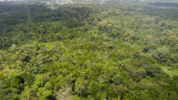 Boxel C1396- 3834- Wanica- Suriname- Surgoed Makelaardij N.V- KP01313 (8)