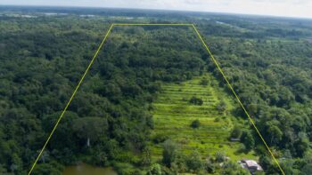 Djalanweg 111- Groningen- Saramacca- Suriname- Surgoed Makelaardij NV- KW01405 (18)