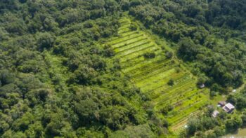 Djalanweg 111- Groningen- Saramacca- Suriname- Surgoed Makelaardij NV- KW01405 (23)