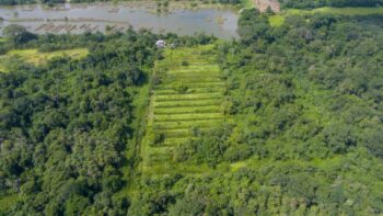 Djalanweg 111- Groningen- Saramacca- Suriname- Surgoed Makelaardij NV- KW01405 (30)