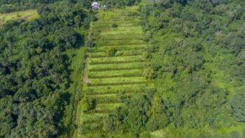 Djalanweg 111- Groningen- Saramacca- Suriname- Surgoed Makelaardij NV- KW01405 (31)