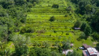 Djalanweg 111- Groningen- Saramacca- Suriname- Surgoed Makelaardij NV- KW01405 (34)